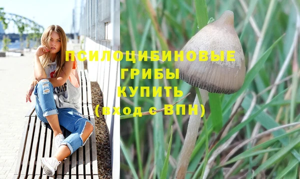 mdma Киреевск