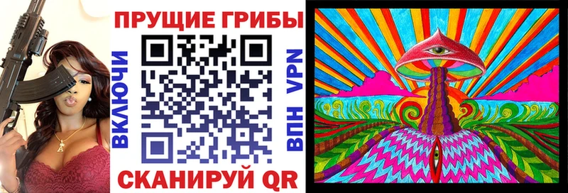 Купить где  Новодвинск  Псилоцибиновые грибы мицелий 